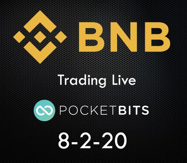 BUY BNB (BNB)in INR on PocketBits!